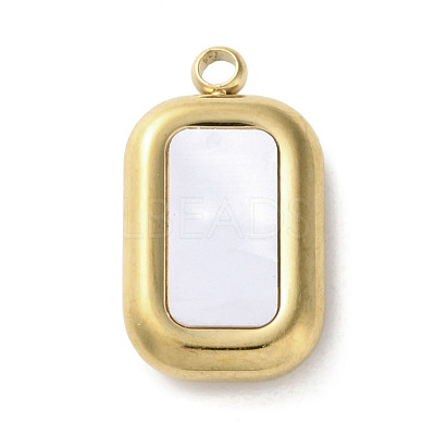 304 Stainless Steel Acrylic Pendants STAS-M091-02C-G-1