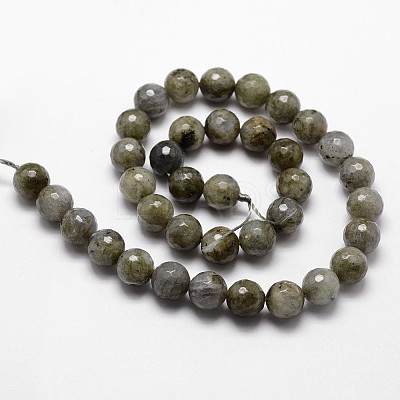 Natural Labradorite Beads Strands G-G736-04-10mm-1
