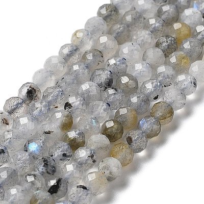 Natural Labradorite Beads Strands G-I341-11-1