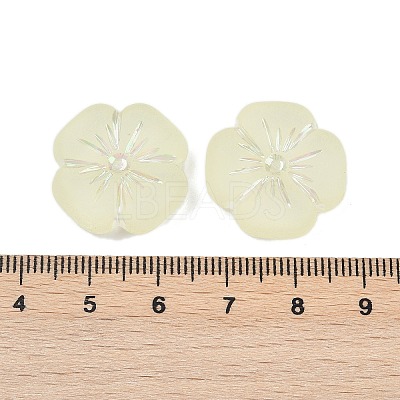 Frosted Transparent Acrylic Beads X1-OACR-P029-19B-03-1