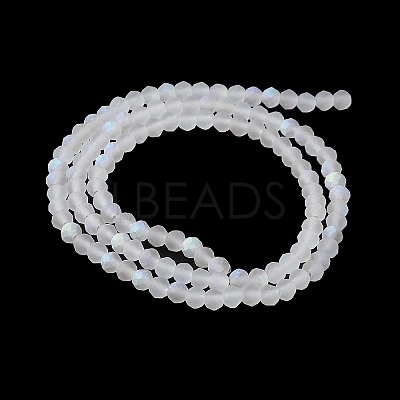 Transparent Glass Beads Strands LS-EGLA-A044-T4mm-MB19-1