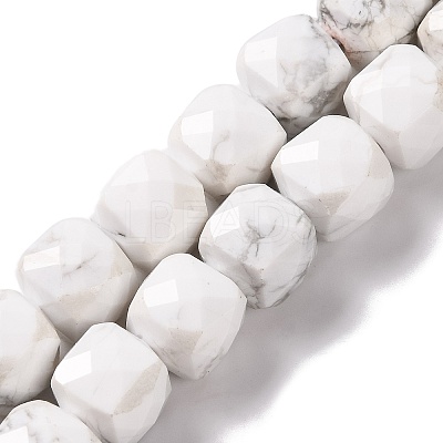 Natural Howlite Beads Strands G-G001-B03-06-1
