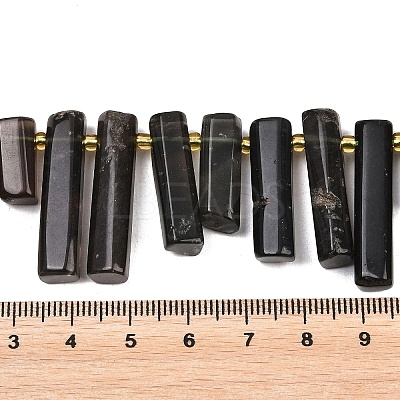 Natural Tektite Beads Strands G-F829-A08-01-1
