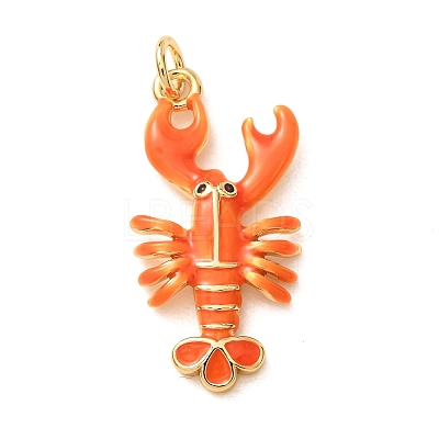 Brass with Enamel Pendants KK-CBA2F11-08B-G02-1