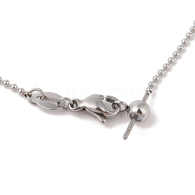 304 Stainless Steel Ball Chain Necklaces STAS-M065-19P-1
