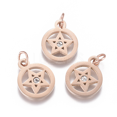 316 Surgical Stainless Steel Charms STAS-L242-04-1