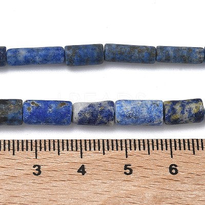 Natural Lapis Lazuli Beads Strands G-L650-L01-01-1