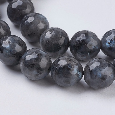 Natural Larvikite Beads Strands X-G-G542-10mm-27-1