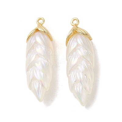 Rainbow Iridescent Plating Resin Pendants RESI-C047-03B-G-1