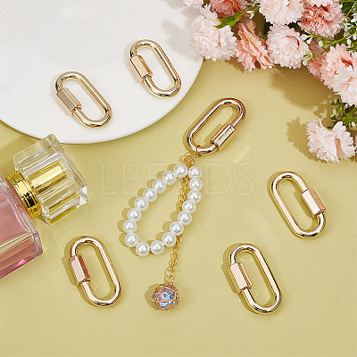 6Pcs Alloy Screw Carabiner Lock Charms FIND-UN0003-31LG-1