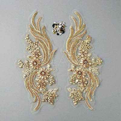 Phoenix Tail Pattern Glass Rhinestone & Mesh Base Fabrics Handwork Embroidery Cloth Sew on Appliques PATC-WH0009-02C-1