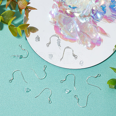 10 Pairs 925 Sterling Silver Earring Hooks STER-BBC0001-38-1
