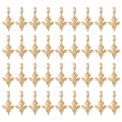36Pcs Alloy European Dangle Charms MPDL-CA0001-06G-1