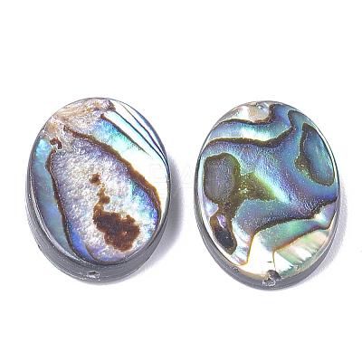 Natural Abalone Shell/Paua Shell Beads X-SSHEL-T008-14-1