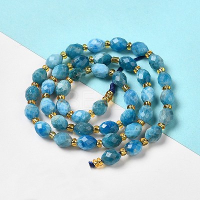 Natural Apatite Beads Strands G-H297-C03-01-1