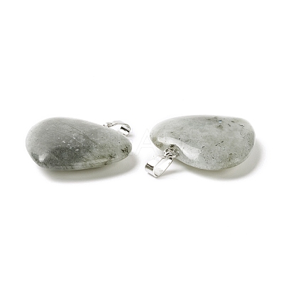 Natural Labradorite Pendants G-G956-B45-FF-1