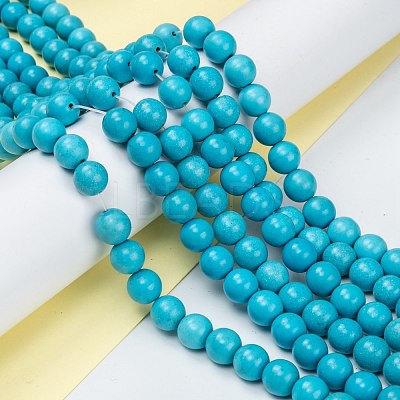 Natural Howlite Beads Strands G-C180-15C-1