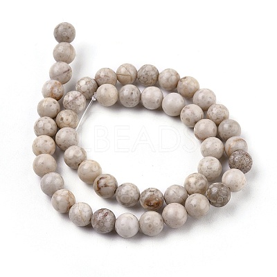 Natural Maifanite/Maifan Stone Beads Strands G-I187-8mm-01-1