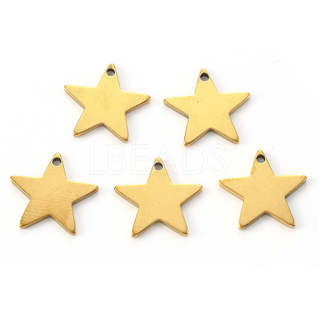 PVD Vacuum Plating 304 Stainless Steel Charms X-STAS-N092-67G-1