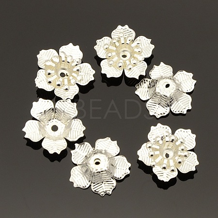 5-Petal Iron Flower Bead Caps X-KK-O016-08-1