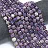 Natural Lepidolite/Purple Mica Stone Beads Strands G-K389-A32-01-2