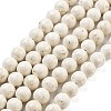 Natural Fossil Beads Strands G-H026-02C-1