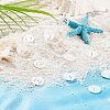 26Pcs 26 Style 
Natural Freshwater Shell Charms SHEL-FH0001-12-4