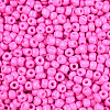 Baking Paint Glass Seed Beads SEED-S003-K2-2