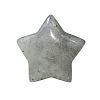 Natural Labradorite Home Display Decorations G-PW0007-124G-1