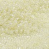 Ceylon Glass Seed Beads SEED-K009-02B-38-3