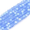 Transparent Glass Beads Strands EGLA-A044-T2mm-MB14-1