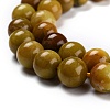 Natural Yellow Opal Beads G-P446-02C-3