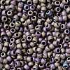 TOHO Round Seed Beads SEED-JPTR08-0615-2