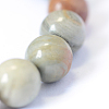 Natural Silver Leaf Jasper Round Bead Strands X-G-E334-6mm-04-4