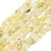 Natural Gold Prehnite Beads Strands G-K395-A07-01-2