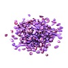 Shell Beads SHEL-XCP0001-02-1