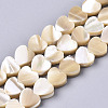 Natural Trochid Shell/Trochus Shell Beads SSHEL-R049-01-1