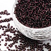 FGB 8/0 Grade A Round Glass Seed Beads SEED-Q007-3mm-F57-1