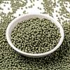 MIYUKI Round Rocailles Beads SEED-JP0009-RR4474-2