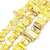 Natural Freshwater Shell Beads Strands SHEL-N026-123A-1