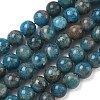 Natural Apatite Beads Strands G-F816-A01-01B-2