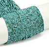 Natural HuBei Turquoise Beads Strands G-C181-A01-01-2