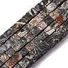 Natural Map Stone Beads Strands G-T139-8x8-45A-2