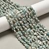 Natural Amazonite Beads Strands G-P575-C12-6mm-1