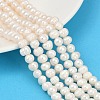Natural Cultured Freshwater Pearl Beads Strands PEAR-I007-07Y-08A-1