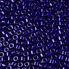 Opaque Baking Paint Glass Seed Beads SEED-T008-02V-3