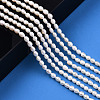 Natural Cultured Freshwater Pearl Beads Strands PEAR-S017-001-1
