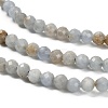 Natural Angelite Beads Strands G-RM2025-30-4mm-4