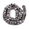 Natural Syenite Beads Strands G-D091-A32-2