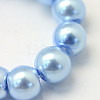 Baking Painted Pearlized Glass Pearl Round Bead Strands HY-Q003-10mm-24-3